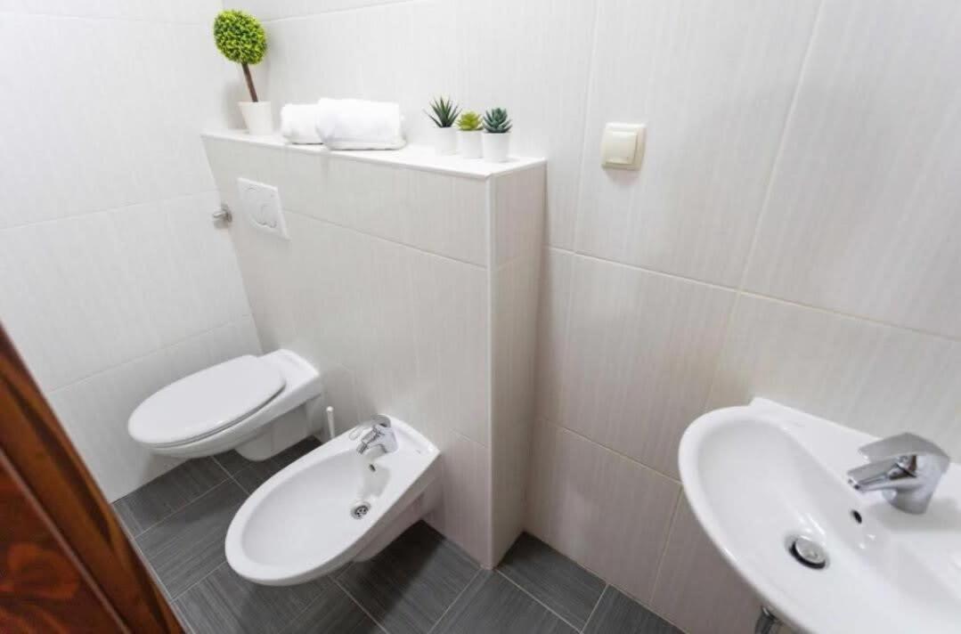 Tesla Apartment Urban Stay 萨格勒布 外观 照片